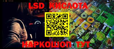 PSILOCYBIN Кулебаки