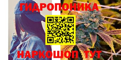 стаф Кунгур