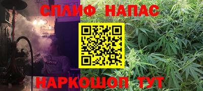 стаф Кунгур