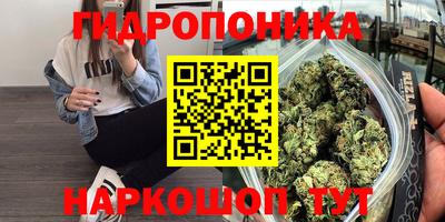 стаф Кунгур