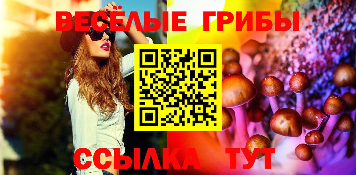 Галлюциногенные грибы Psilocybine cubensis  Псилоцибиновые грибы MAGIC MUSHROOMS  Вход с VPN  Татарск 